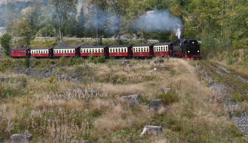 The Harz Narrow Gauge Railway, Brocken Railway, Selketal Railway in the Harz Mountains, Saxony-Anhalt, Germany, Europe