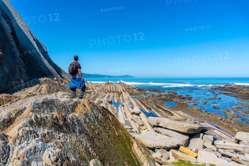 A man next to the marine vegetation in Algorri cove on the coast in the flysch of Zumaia, Gipuzkoa. Basque Country