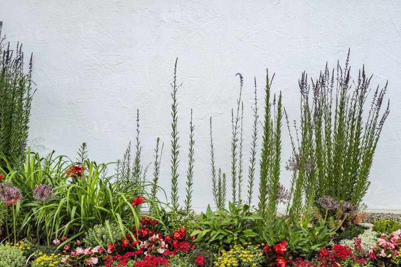 Colourfully planted small rock garden in front of a white wall