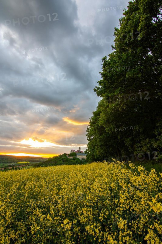 Landscape at sunrise. Beautiful morning landscape with fresh yellow rape fields in spring. Small castle in the yellow fields on a hill. Historic Ronneburg Castle in the middle of nature, Ronneburg, Hesse, Germany, Europe