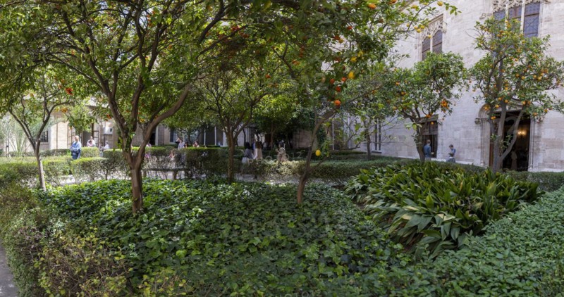 Inner courtyard with orange trees, Lonja de la Seda Palace, Silk Exchange, UNESCO World Heritage Site, Valencia, Spain, Europe