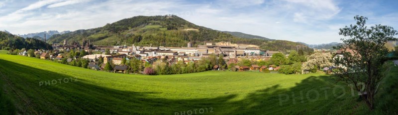 Cows grazing in front of the Donawitz steelworks of voestalpine AG, panoramic view, Donawitz district, Leoben, Styria, Austria, Europe