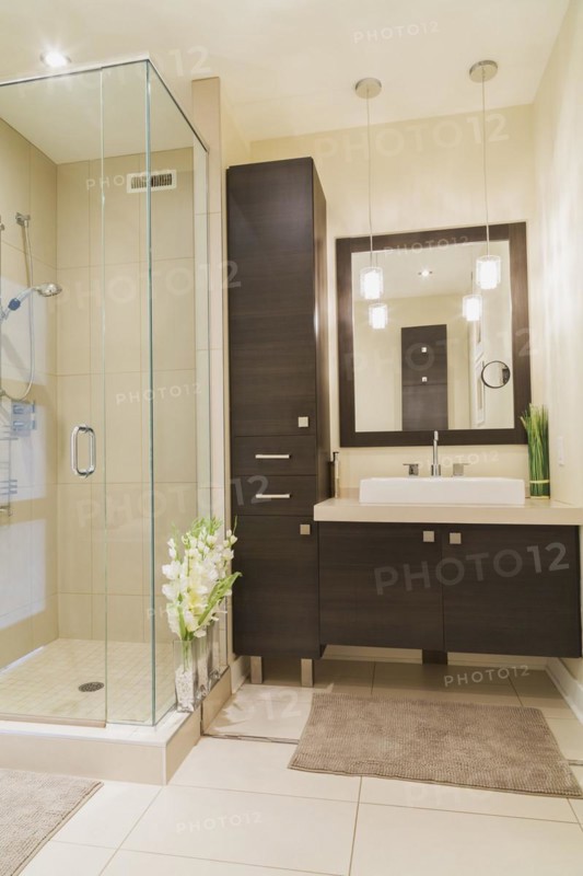Contemporary brown laminated wood vanity with mirror and clear glass shower stall in bathroom inside a renovated ground floor apartment in an old residential cottage style home, Quebec, Canada, North America