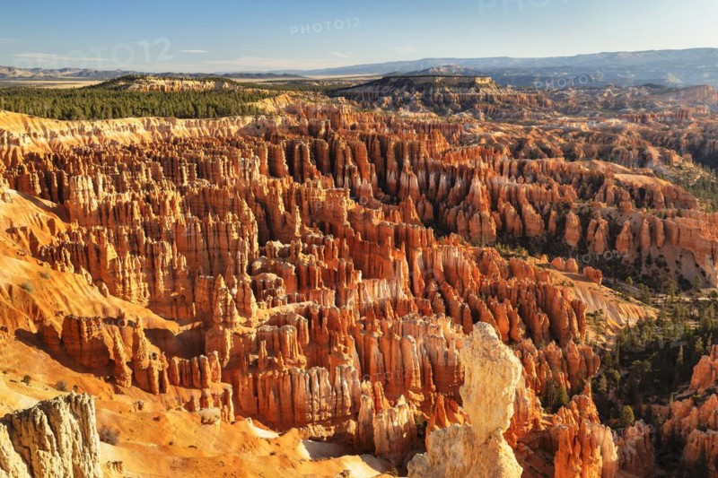 Bryce Amphitheatre at sunset, Bryce Canyon National Park, Colorado Plateau, Utah, United States, USA, Bryce Canyon, Utah, USA, North America
