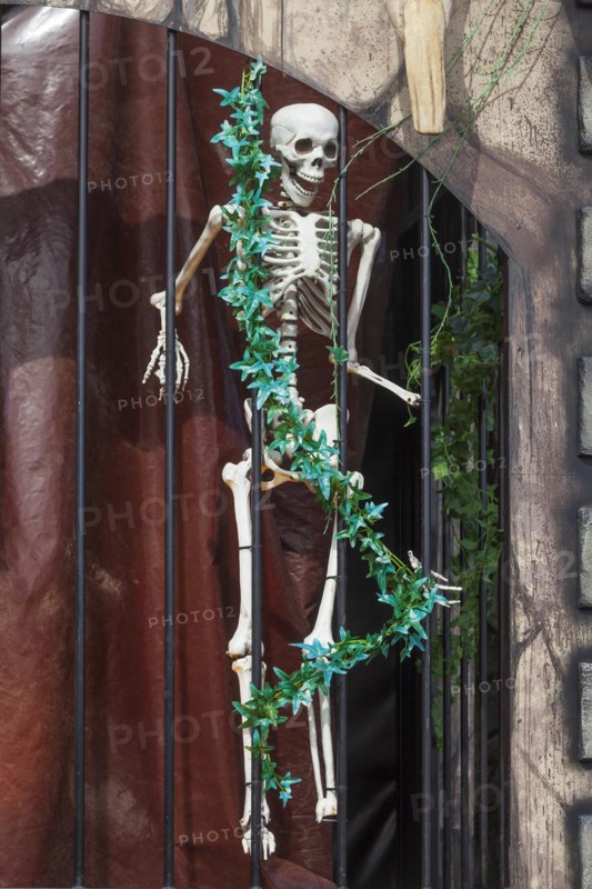 Skeleton with skull on a ghost train, decoration, figure at the Bremen Easter Fair, Buergerweide, Bremen, Germany, Europe