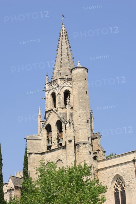 Church of Saint Pierre, Avignon, Vaucluse, Provence-Alpes-Cote d'Azur, South of France, France, Europe