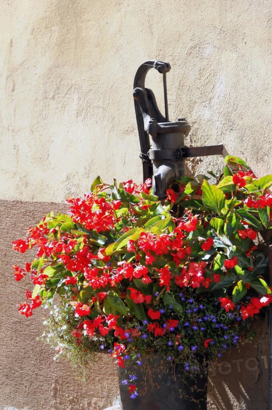 Kaysersberg, Alsace Wine Route, Alsace, Departement Haut-Rhin, France, Europe, Old black water pump decorated with a colourful flower pot, Europe