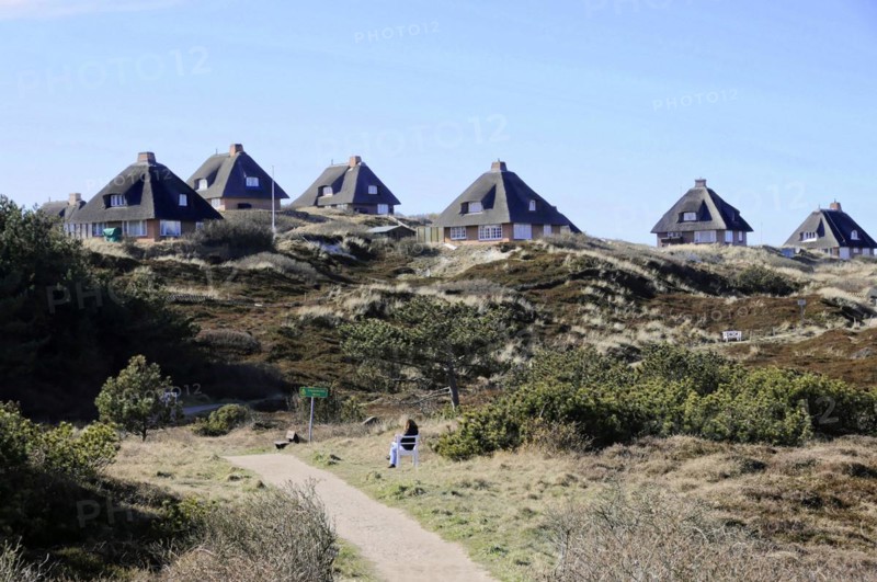 Houses, Hoernum, Sylt, North Frisian Island, A collection of traditional thatched-roof houses in a dune landscape under a blue sky, Sylt, North Frisian Island, Schleswig Holstein, Germany, Europe