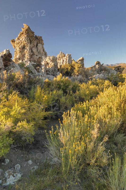 Tufa formations at Mono Lake, Mono Lake Tufa State Reserve, California, USA, Mono Lake Tufa State Reserve, California, USA, North America
