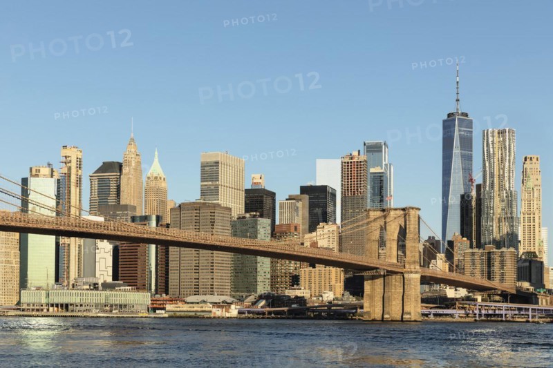 Skyline of downtown Manhattan with One World Trade Centre and Brooklyn Bridge, New York City, New York, USA, New York City, New York, USA, North America