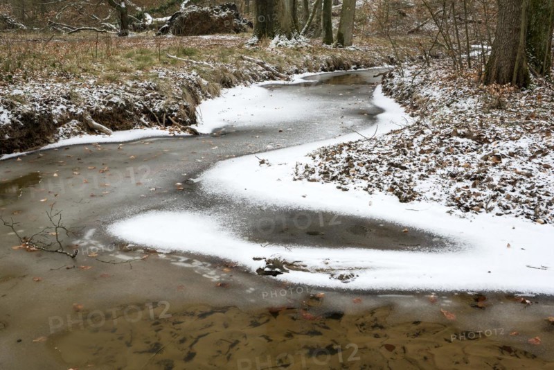 Rotbach, near-natural stream, beech forest, with ice and snow, between Bottrop and Oberhausen, Ruhr area, North Rhine-Westphalia, Germany, Europe