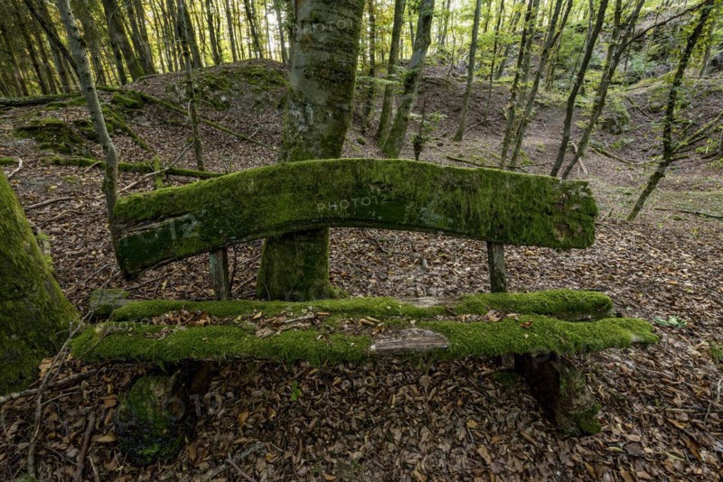 Weathered, rotten and mossy bench made of rough wooden boards, autumn leaves, backlight, beech forest, Raumertswald, volcano, Vogelsberg Volcano Region nature park Park, rest area, Nidda, Wetterau, Hesse, Germany, Europe