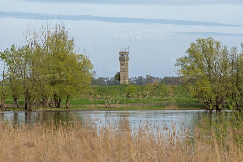 Former watchtower of the GDR, watchtower, trees, reeds, water, Elbe, Elbtalaue near Bleckede, Lower Saxony, Germany, Europe
