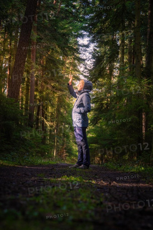 A hiker raises his hand in greeting or to block the sunlight in the dense forest, Calw, Black Forest, Germany, Europe