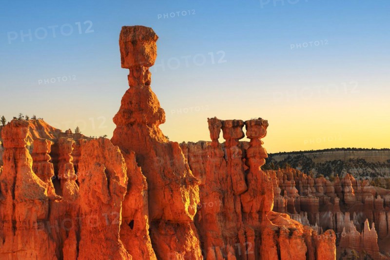 Thor's hammer at sunrise, Bryce Canyon National Park, Utah, USA, Bryce Canyon, Utah, USA, North America