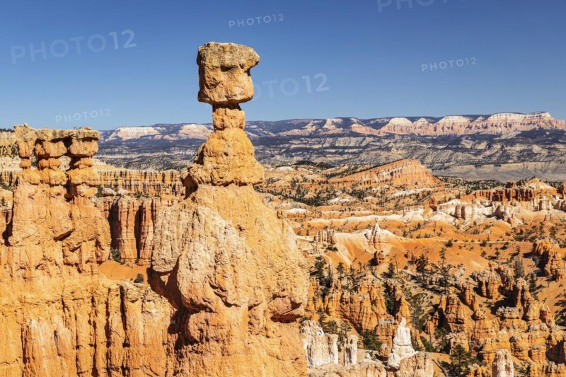 Thor's Hammer, Bryce Canyon National Park, Utah, USA, Bryce Canyon, Utah, USA, North America
