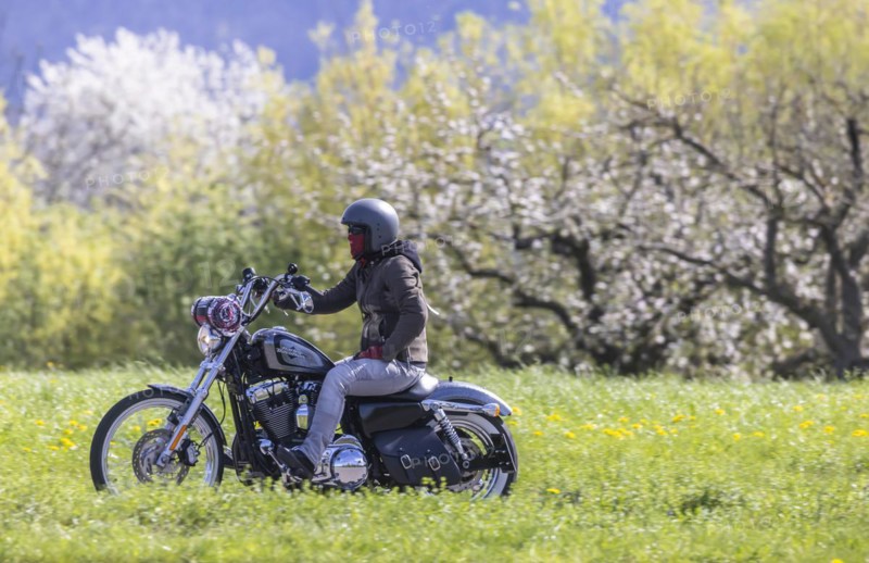 A motorbike rides through blossoming spring meadows, motorbike noise, Bissingen an der Teck, Baden-Wuerttemberg, Germany, Europe