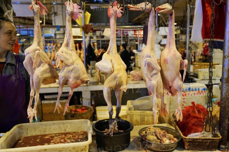 Chongqing, Chongqing Province, China, Raw ducks hanging on a market stall over a bucket of liquid, Chongqing, Chongqing, Chongqing Province, China, Asia