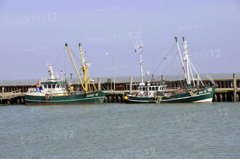 List, harbour, Sylt, North Frisian Island, Schleswig Holstein, fishing boats moored at a wooden jetty in a harbour, Sylt, North Frisian Island, Schleswig-Holstein, Germany, Europe