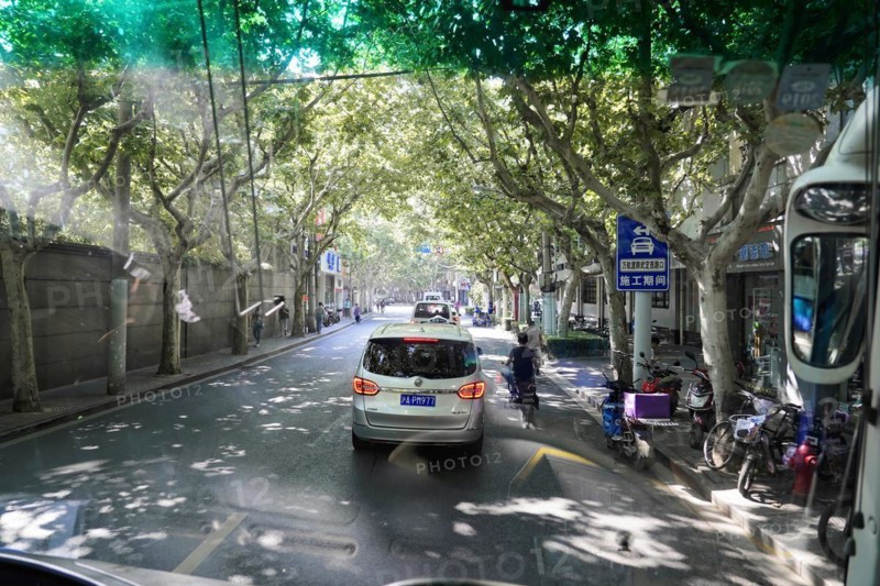 Traffic in Shanghai, Shanghai Shi, People's Republic of China, Vehicles driving on a tree-lined, shady city street, Shanghai, China, Asia