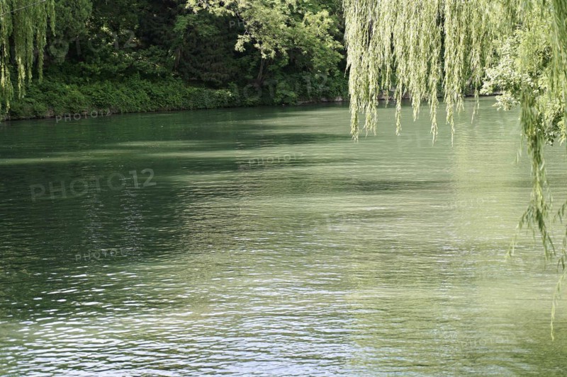 View of a calm water surface of a lake surrounded by green trees, New Summer Palace, Beijing, Beijing, China, Asia