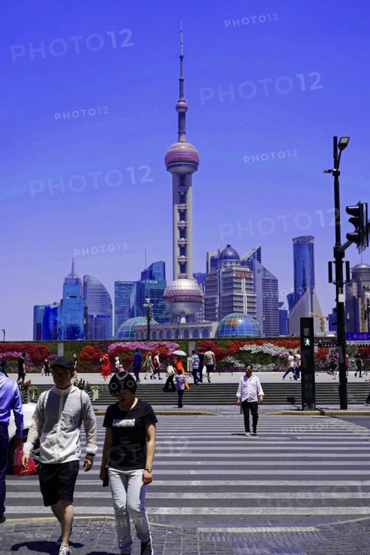 Stroll through Shanghai to the sights, Shanghai, China, Asia, People crossing a zebra crossing with a view of the Shanghai Oriental Pearl Tower, Asia