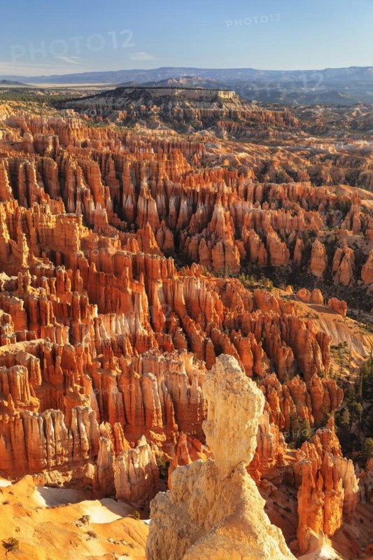 Bryce Amphitheatre at sunset, Bryce Canyon National Park, Colorado Plateau, Utah, United States, USA, Bryce Canyon, Utah, USA, North America