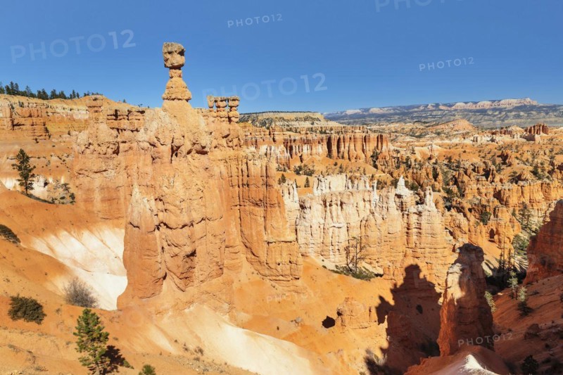 Thor's Hammer, Bryce Canyon National Park, Utah, USA, Bryce Canyon, Utah, USA, North America