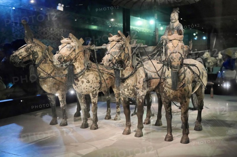 Terracotta horse and cart, Qin Shihuangdi's mausoleum, exhibition hall, high chariot, Xian, Shaanxi, China, Asia, Terracotta horse and cart with driver, on display in a museum, Xian, Shaanxi Province, China, Asia