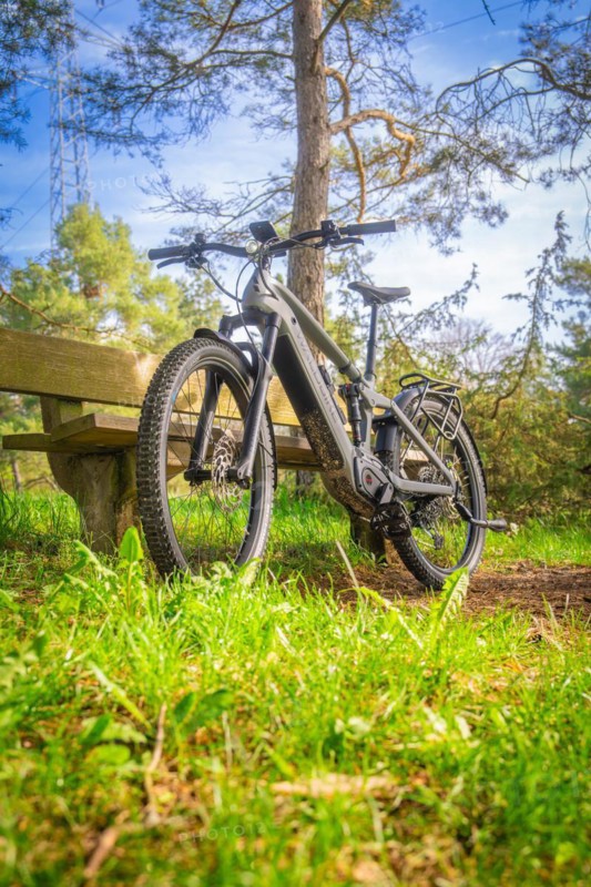 A mountain bike standing in the forest on grass with sunbeams in the background, spring, e-bike forest bike, Gechingen, Black Forest, Germany, Europe