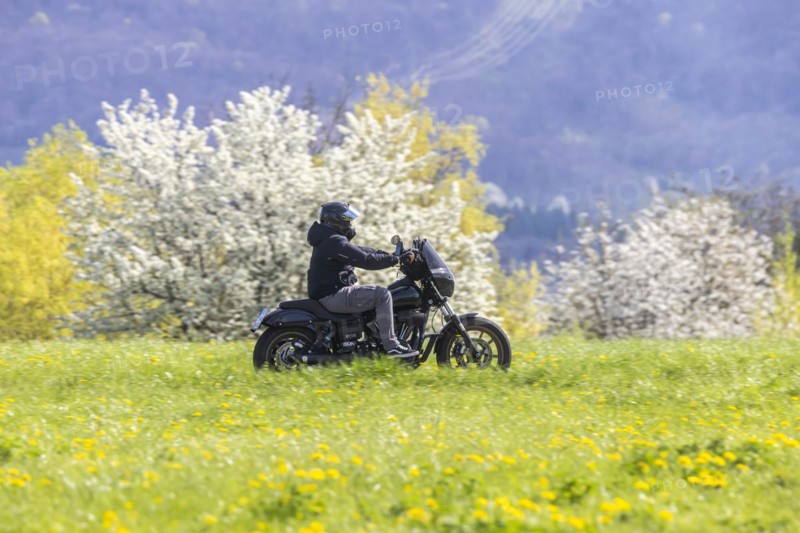 A motorbike rides through blossoming spring meadows, motorbike noise, Bissingen an der Teck, Baden-Wuerttemberg, Germany, Europe