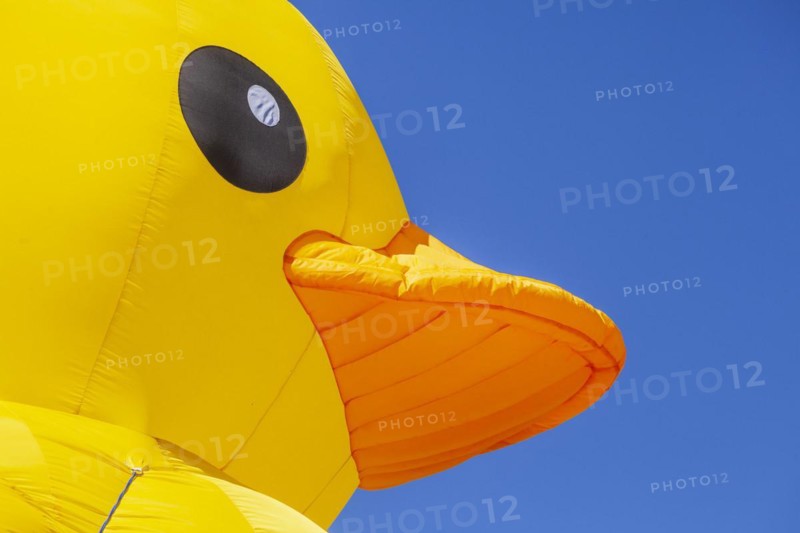 Yellow duck, decoration, figure at the Bremen Easter Fair, Buergerweide, Bremen, Germany, Europe
