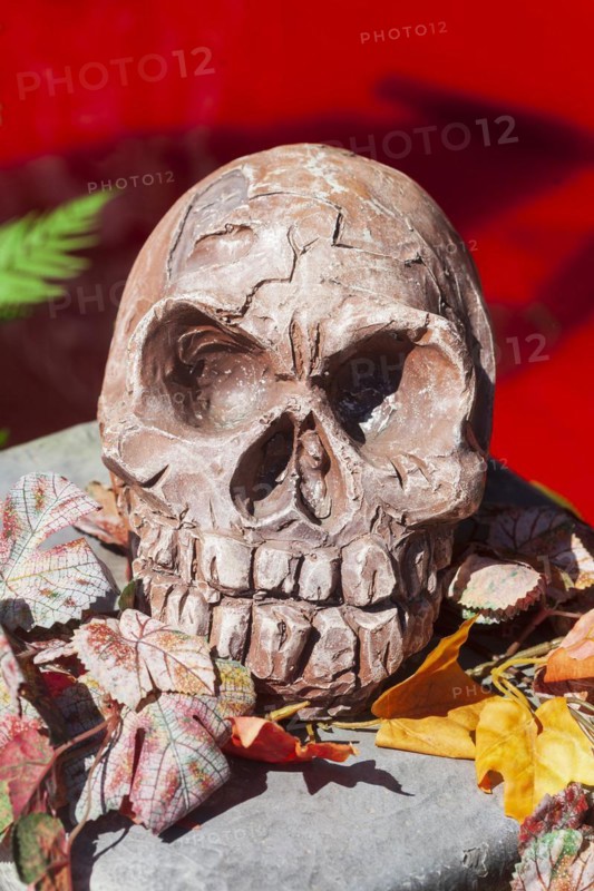 Skeleton with skull on a ghost train, decoration, figure at the Bremen Easter Fair, Buergerweide, Bremen, Germany, Europe