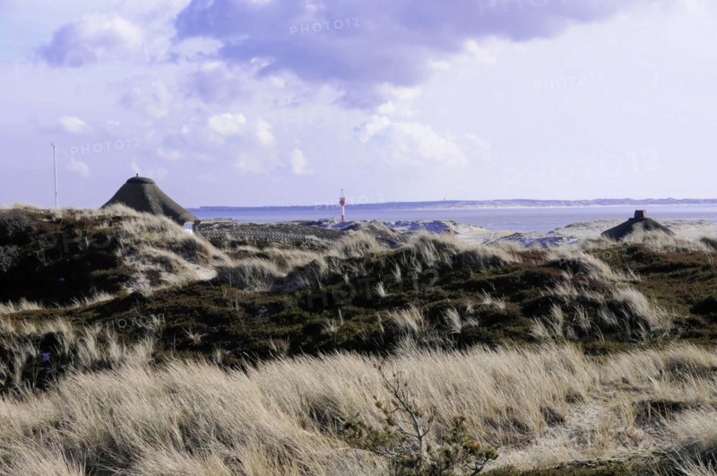 Houses, Hoernum, Sylt, North Frisian Island, view over dunes with grasses to a distant lighthouse under a cloudy sky, Sylt, North Frisian Island, Schleswig Holstein, Germany, Europe