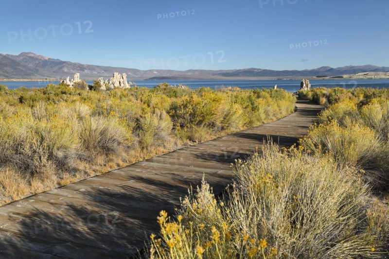 Mono Lake, Mono Lake Tufa State Reserve, California, USA, Mono Lake Tufa State Reserve, California, USA, North America