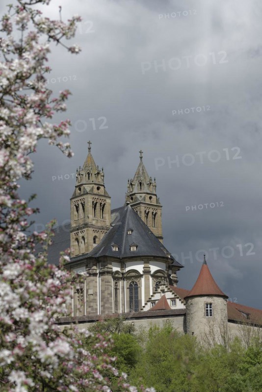 View of the Comburg, fruit blossom, fruit tree, spring, April, Way of St James, Benedictine monastery, monastery, Benedictine order, castle, Schwaebisch Hall, Kocher valley, Kocher, Hohenlohe, Heilbronn-Franken, Baden-Wuerttemberg, Germany, Europe