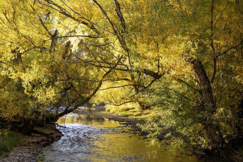 Wheat Ridge, Colorado, Clear Creek in autumn, flowing from the Rocky Mountains towards the South Platte River in Denver