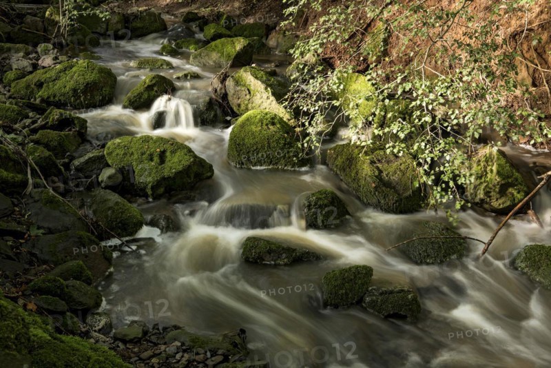 Mountain stream in the forest with mossy basalt rocks, blocks of basalt in the stream bed, Tertiary volcano, flowing water, motion blur, Krummbach, Vogelsberg Volcanic Region nature park Park, Nidda, Wetterau, Hesse, Germany, Europe