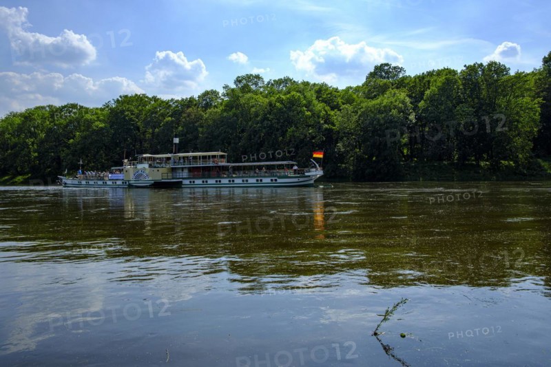 The historic paddle steamer KURORT RATHEN travelling backwards on the Elbe at the steamboat landing stage in Pillnitz, Dresden, Saxony, Germany, Europe