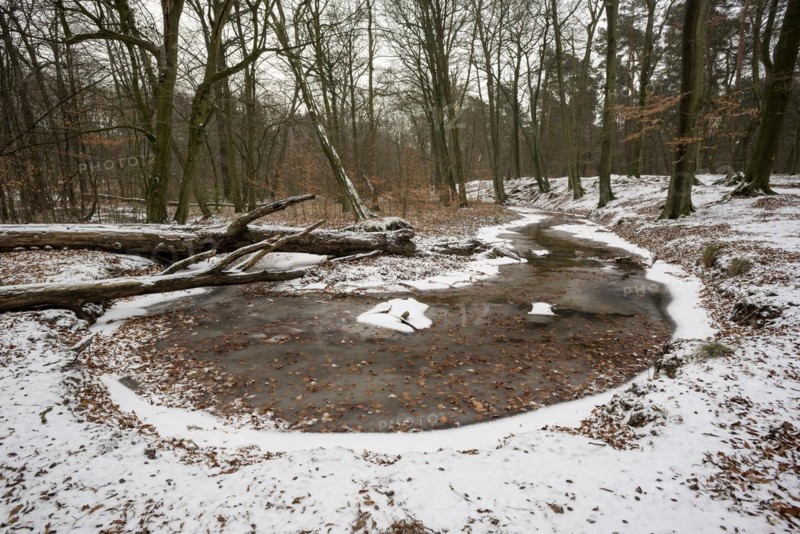 Rotbach, near-natural stream, stream loop, beech forest, with ice and snow, between Bottrop and Oberhausen, Ruhr area, North Rhine-Westphalia, Germany, Europe