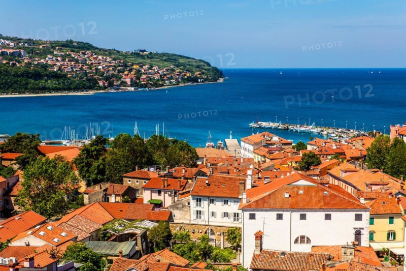 View of the marina, harbour town of Koper on the Adriatic coast, Slovenia, Koper, Slovenia, Europe