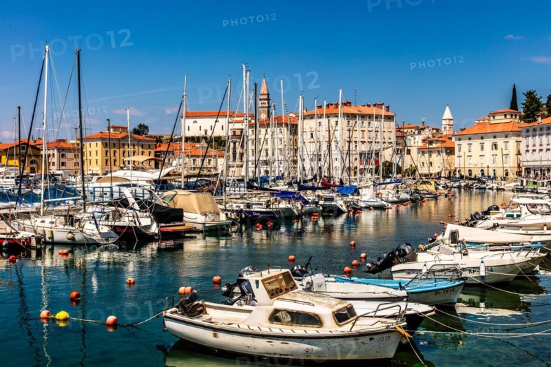 Harbour basin, harbour town of Piran on the Adriatic coast with Venetian flair, Slovenia, Piran, Slovenia, Europe