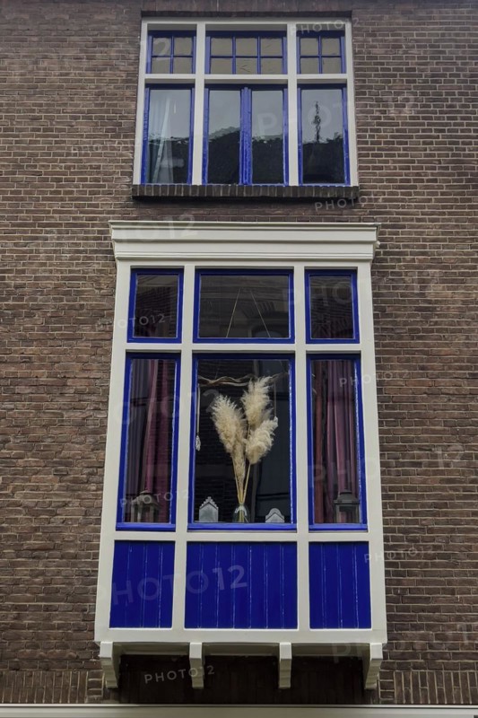 Decorated window, flowers, sparse, design, dutch, decoration, decorated, house, facade, architecture, living, home, property, nobody, sight, room, style, lifestyle, furnishing, blue, colour, wooden window, varnished, Deventer, Netherlands