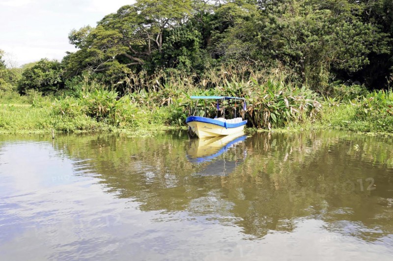 Granada, Nicaragua, A boat glides gently on the calm Nicaragua Lake surrounded by dense vegetation, Central America, Central America