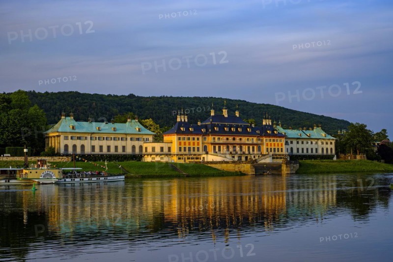 The historic side-wheel steamer KRIPPEN passes Pillnitz Palace in the glow of the setting evening sun, Dresden, Saxony, Germany, 24 May 2019, Europe