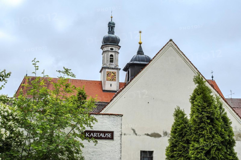 Baroque hall church of St Maria, monastery church of the former Imperial Charterhouse Buxheim, Unterallgaeu district, Upper Swabia, Bavaria, Germany, Europe