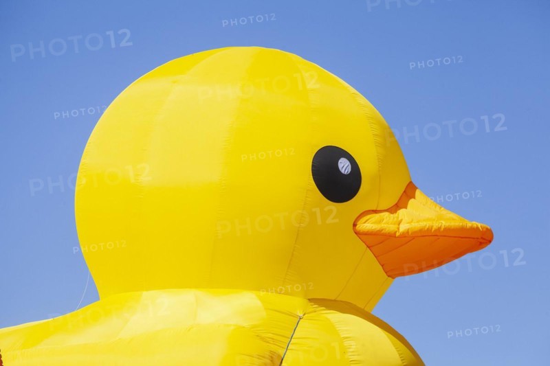 Yellow duck, decoration, figure at the Bremen Easter Fair, Buergerweide, Bremen, Germany, Europe