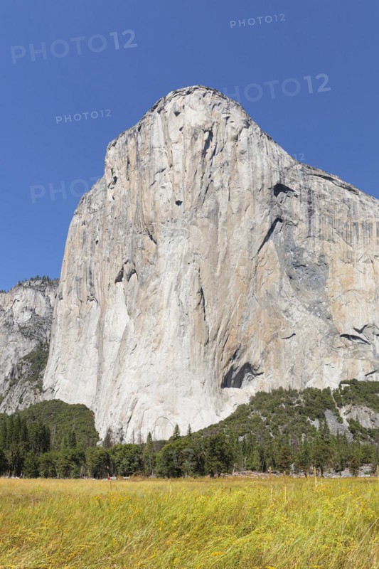 El Capitan, Vosemity Valley, Yosemite National Park, California, United States, USA, Yosemite National Park, California, USA, North America
