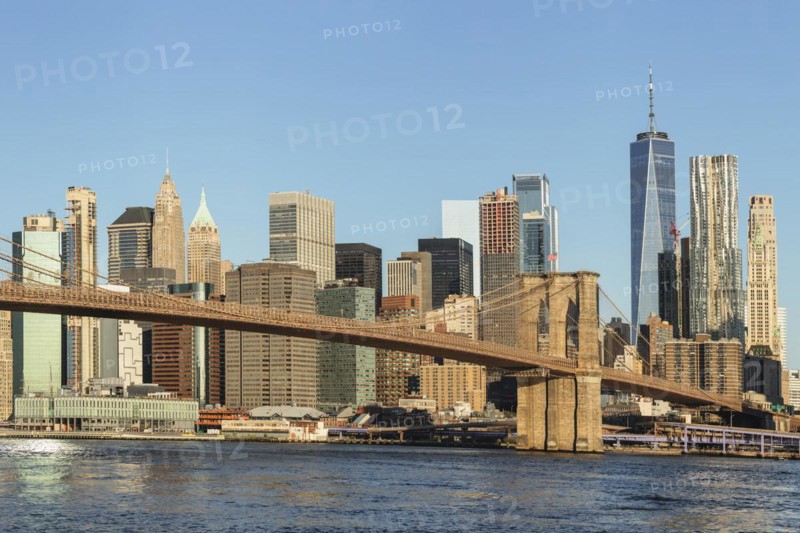Skyline of downtown Manhattan with One World Trade Centre and Brooklyn Bridge, New York City, New York, USA, New York City, New York, USA, North America