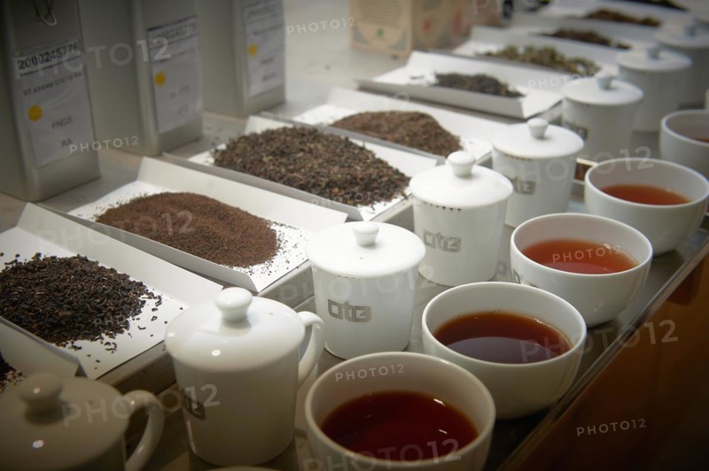 19.08.2022 I Ostfriesische Tee Gesellschaft (OTG) Laurens Spethmann GmbH & Co. I Bosteler Feld 6, 21218 Seevetal, I different types of tea, preparation of a tasting, 21218 Seevetal, Lower Saxony, Germany, Europe